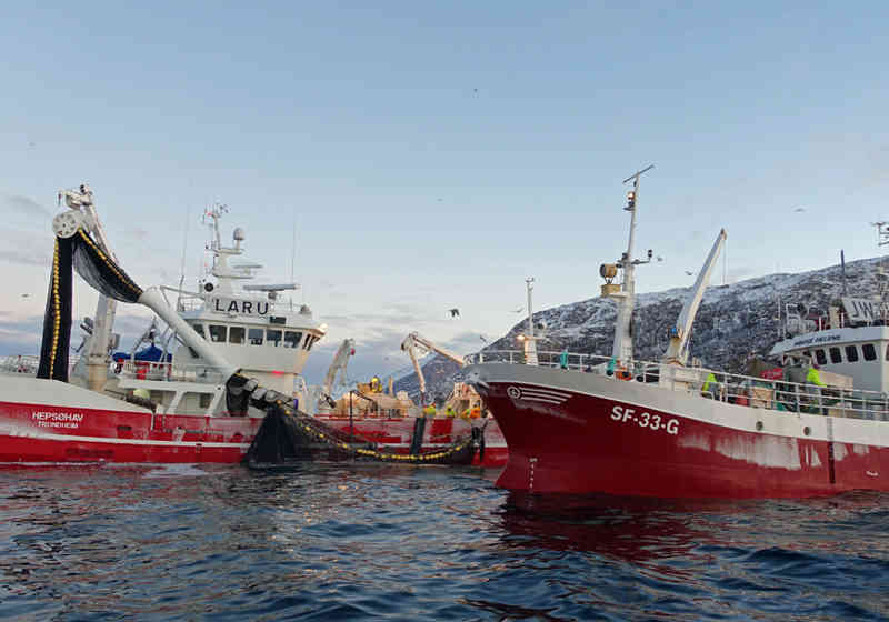 Sildefiske utenfor Kvaløya i Troms.