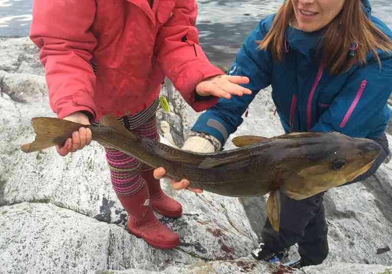 Muligheten for storfangst gjør fritidsfiske ekstra spennende. Foto: Anders Røeggen.