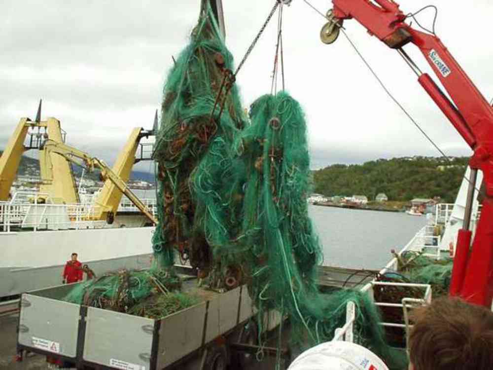 Tapt redskap fra fiskerinæringen er et problem det offentlige prøver å rydde opp i. Foto: Fiskeridirektoratet.