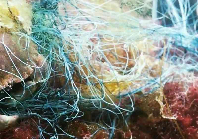 Tapt fiskeredskap som står igjen på havbunnen forsøpler havet, i tillegg til å drepe fisk, skalldyr og andre marine organismer. Foto: Fiskeridirektoratet.