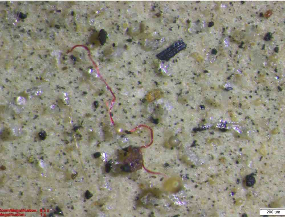 Plast i en sedimentprøve tatt fra Storegga i Norskehavet. Foto: NGU.