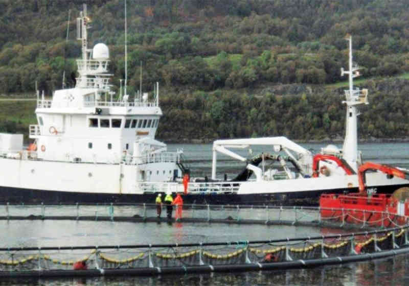 Brønnbåter tar del i stadig flere arbeidsoperasjoner for havbruksnæringen. Illustrasjonsfoto: Fiskeridirektoratet.