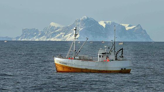 Norge er blant de landene i verden som har tjent mest på havrettsutviklingen de siste tiårene, skriver regiondirektør Alf Håkon Hoel i denne kronikken. \nFoto: Gunnar Sætra/Havforskningsinstituttet