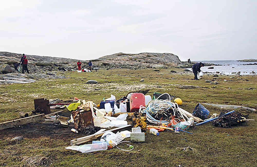 Strandryddedag på Hvaler 2012. Foto: Oslofjordens friluftsråd.