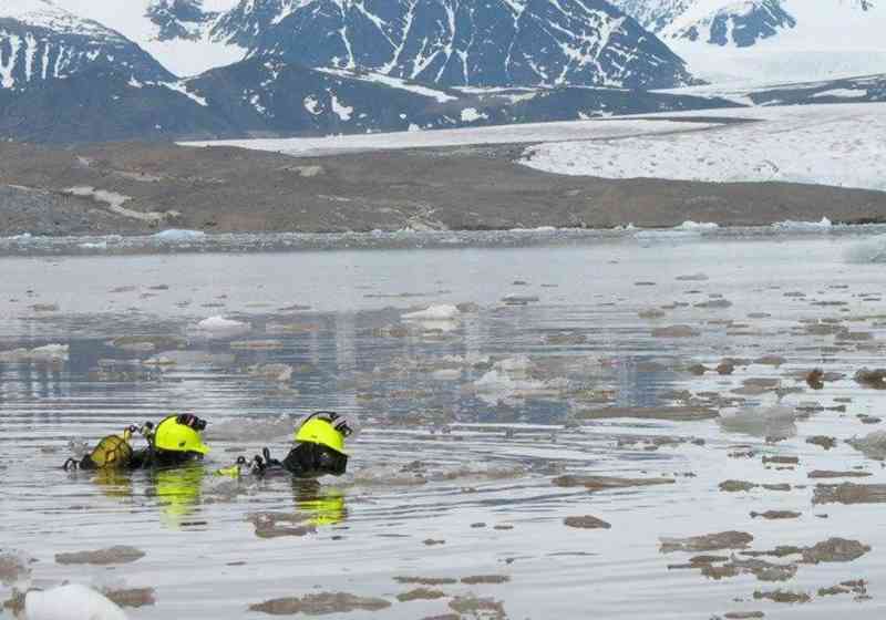 Foto: Forskningsnettverket ARCTOS.