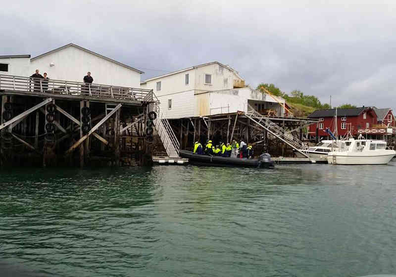 Synlig forskjell på høy- og lavvann på Sørarnøy. Foto: Endre Daniloff. 