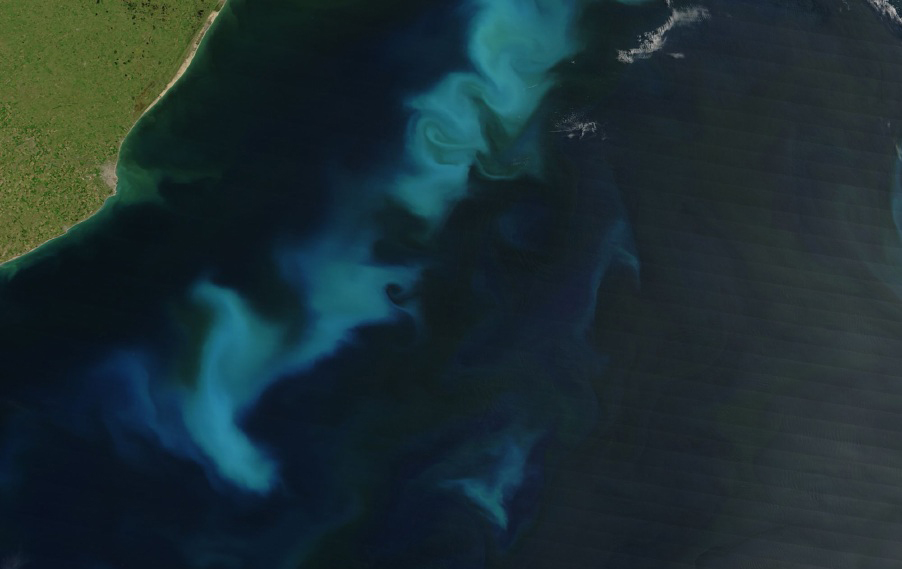 Kan vi satse på at gjødsling med jern kan føre til økt vegetasjon som kan binde karbon i flere hundre år i dyphavet. Her ser vi oppblomstring av fytoplankton utenfor kysten av Argentina. Illustrasjon: Wikimedia Commons.