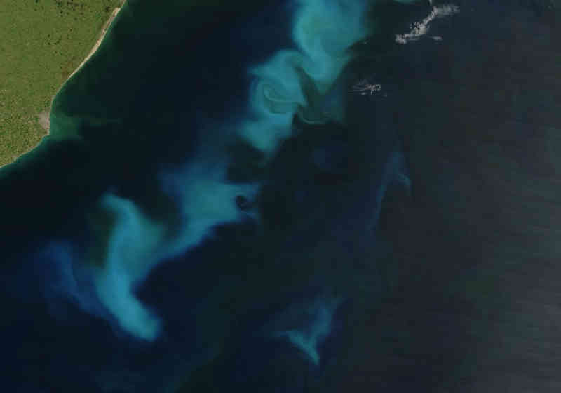 Kan vi satse på at gjødsling med jern kan føre til økt vegetasjon som kan binde karbon i flere hundre år i dyphavet. Her ser vi oppblomstring av fytoplankton utenfor kysten av Argentina. Illustrasjon: Wikimedia Commons.