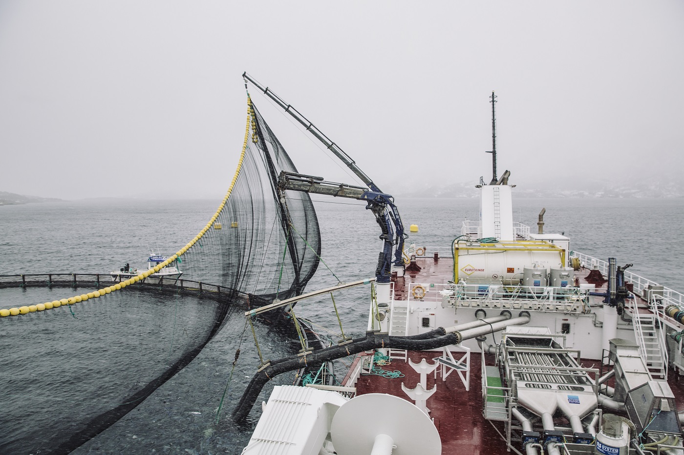 Brønnbåt på jobb i Nordland. Foto: Marius Fiskum/Norwegian Seafood Council.