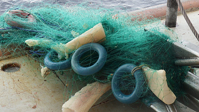 Garnopprydningen bidrar til en betydelig reduksjon i den skjulte beskatningen (spøkelsesfiske). Foto: Fiskeridirektoratet.