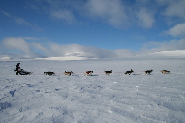 Andre uka i mars er været stabilt og temperaturene er på vei oppover i Finnmark, men polare lavtrykk kan snu opp ned på værsituasjonen. Foto: Trond Ørslien/Finnmarksløpet.