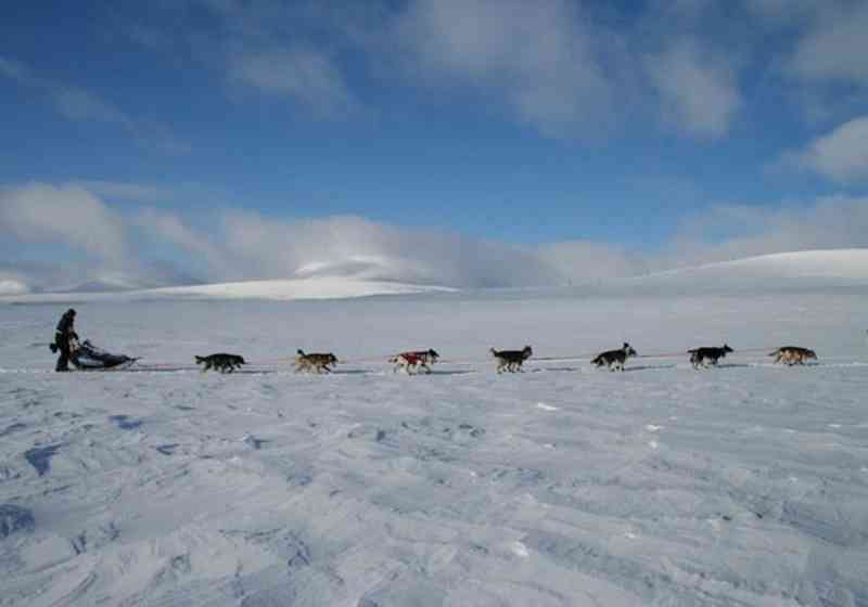 Andre uka i mars er været stabilt og temperaturene er på vei oppover i Finnmark, men polare lavtrykk kan snu opp ned på værsituasjonen. Foto: Trond Ørslien/Finnmarksløpet.