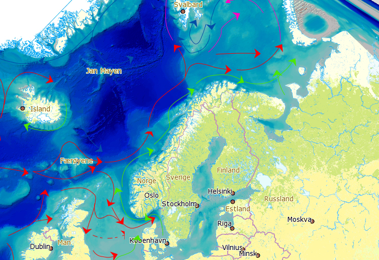 Golfstrømmen er den dominerende havstrømmen i Nord- Atlanteren (angitt med de røde pilene). Illustrasjon: BarentsWatch