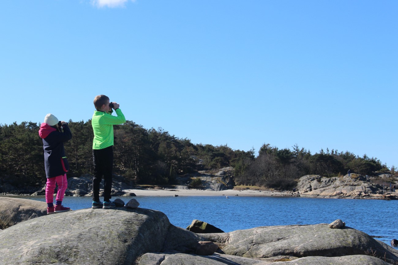 Fugletittere ved Storesand og Ytre Hvaler nasjonalpark. Foto: Marit Winther-Janson/Statens naturoppsyn.