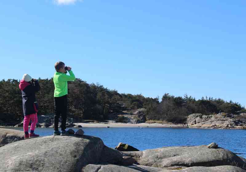 Fugletittere ved Storesand og Ytre Hvaler nasjonalpark. Foto: Marit Winther-Janson/Statens naturoppsyn.