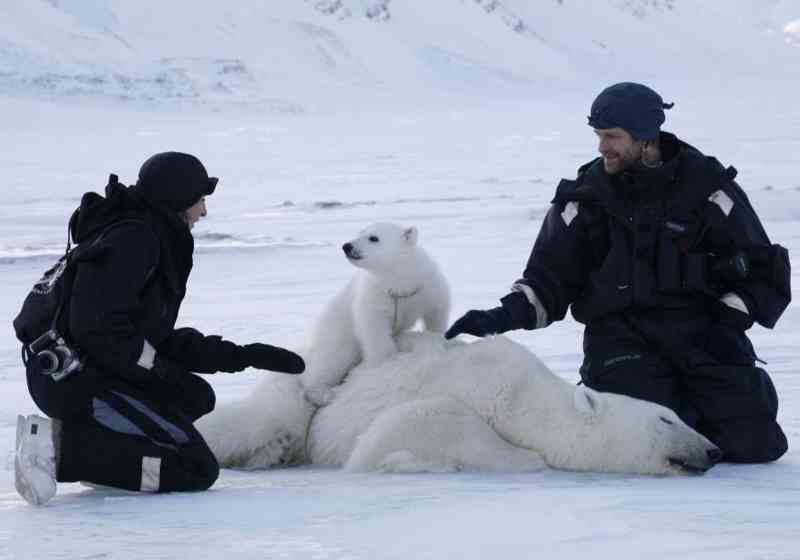 Foto: Magnus Andersen/Norsk Polarinstitutt.