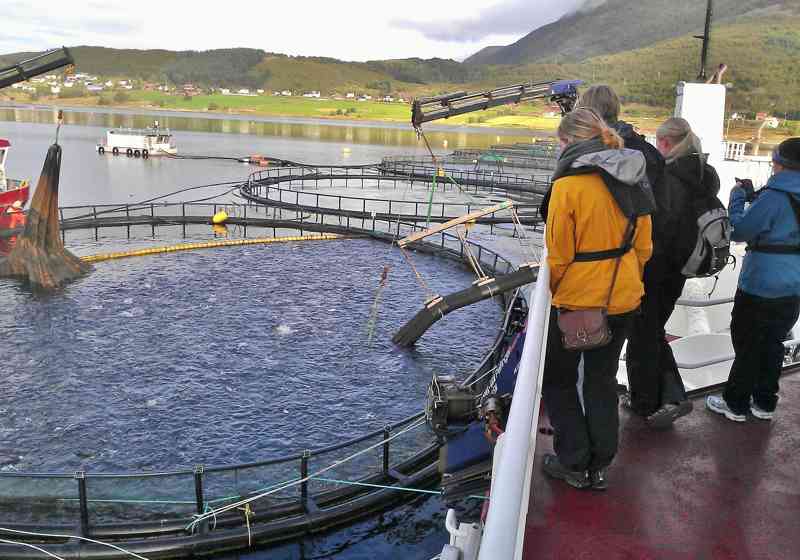 Hvordan koble utdanning og næring bedre sammen gjennom "blå muligheter". Nå har flere prosjekter fått midler. Foto: UiT Norges arktiske universitet.