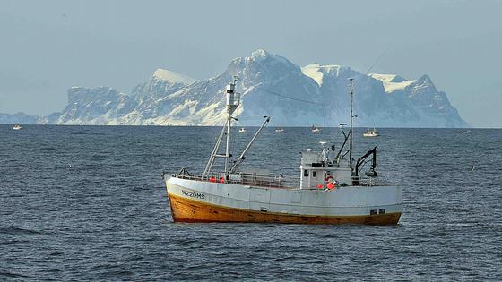 Fiskebåt utenfor Lofoten. Foto: Gunnar Sætra.