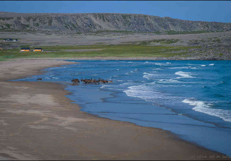 Norsk arktisk landjord. Her fra Hamningberg i Finnmark. Foto: Alf M. Sollund.