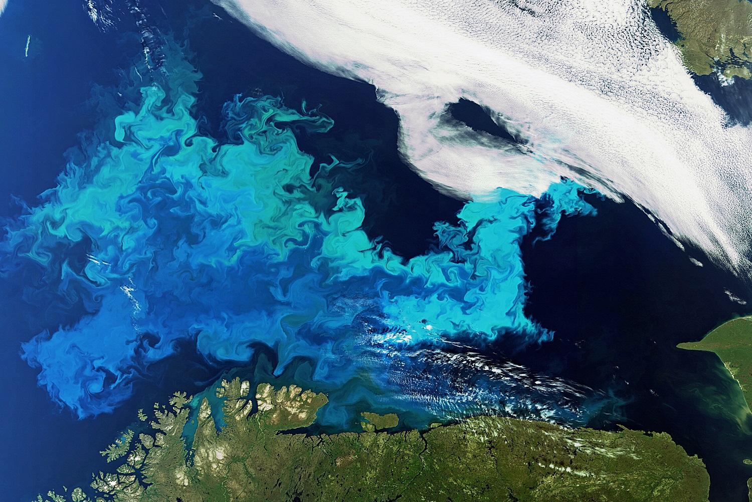 Mer fokus på informasjon om hav og kyst fra norske satellitter. Foto: ESA/Envisat.