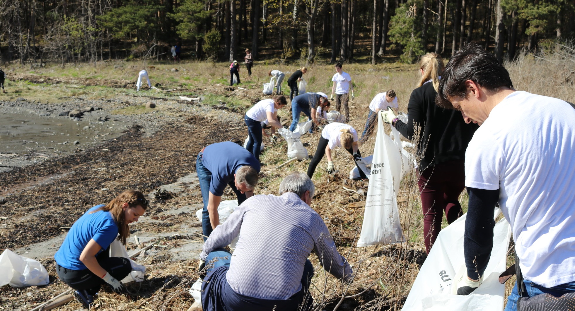 NIVA skal sjå på avrenninga frå mikroplast frå vegene. Her ryddar dei tilsette opp plast i strandkanten. Foto: David Pettersen Eidsvoll/NIVA.