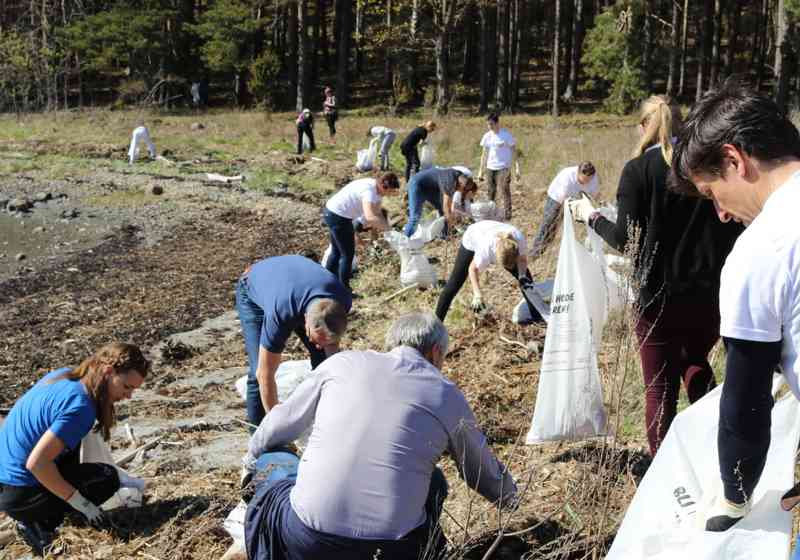 NIVA skal sjå på avrenninga frå mikroplast frå vegene. Her ryddar dei tilsette opp plast i strandkanten. Foto: David Pettersen Eidsvoll/NIVA.