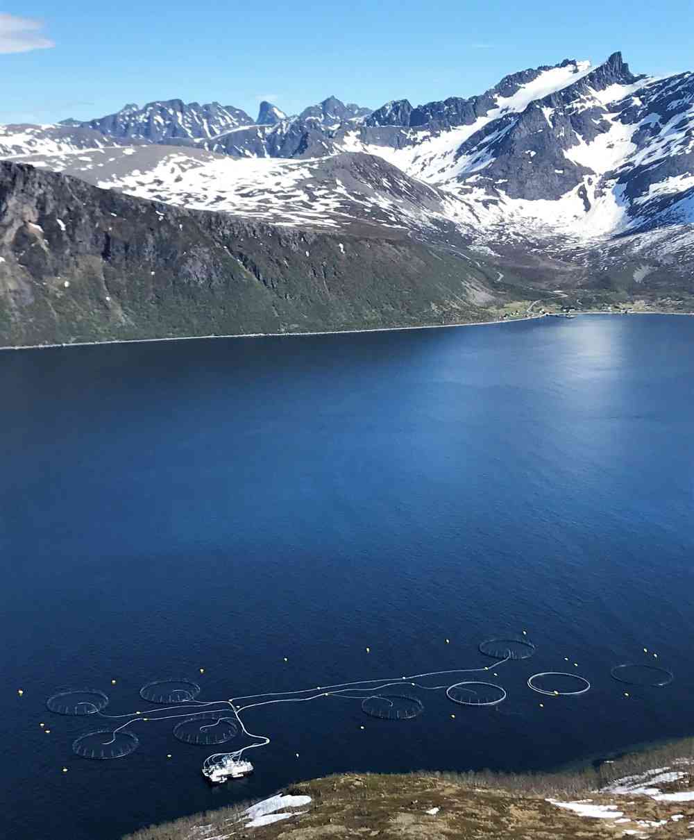 Rapporten gir en oversikt over miljøeffekter av lakseoppdrett. Foto: Anders Røeggen.