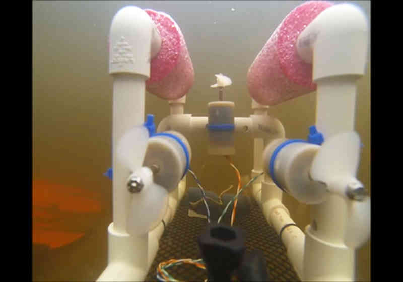 Test av Kartverkets enkle SeaPerch, Remotely Operated Vehicle (ROV). Foto: Kartverket/YouTube.