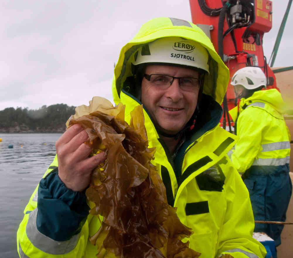 Harald Sveier, leder arbeidet med Ocean Forest, samarbeidet mellom Lerøy og Bellona.