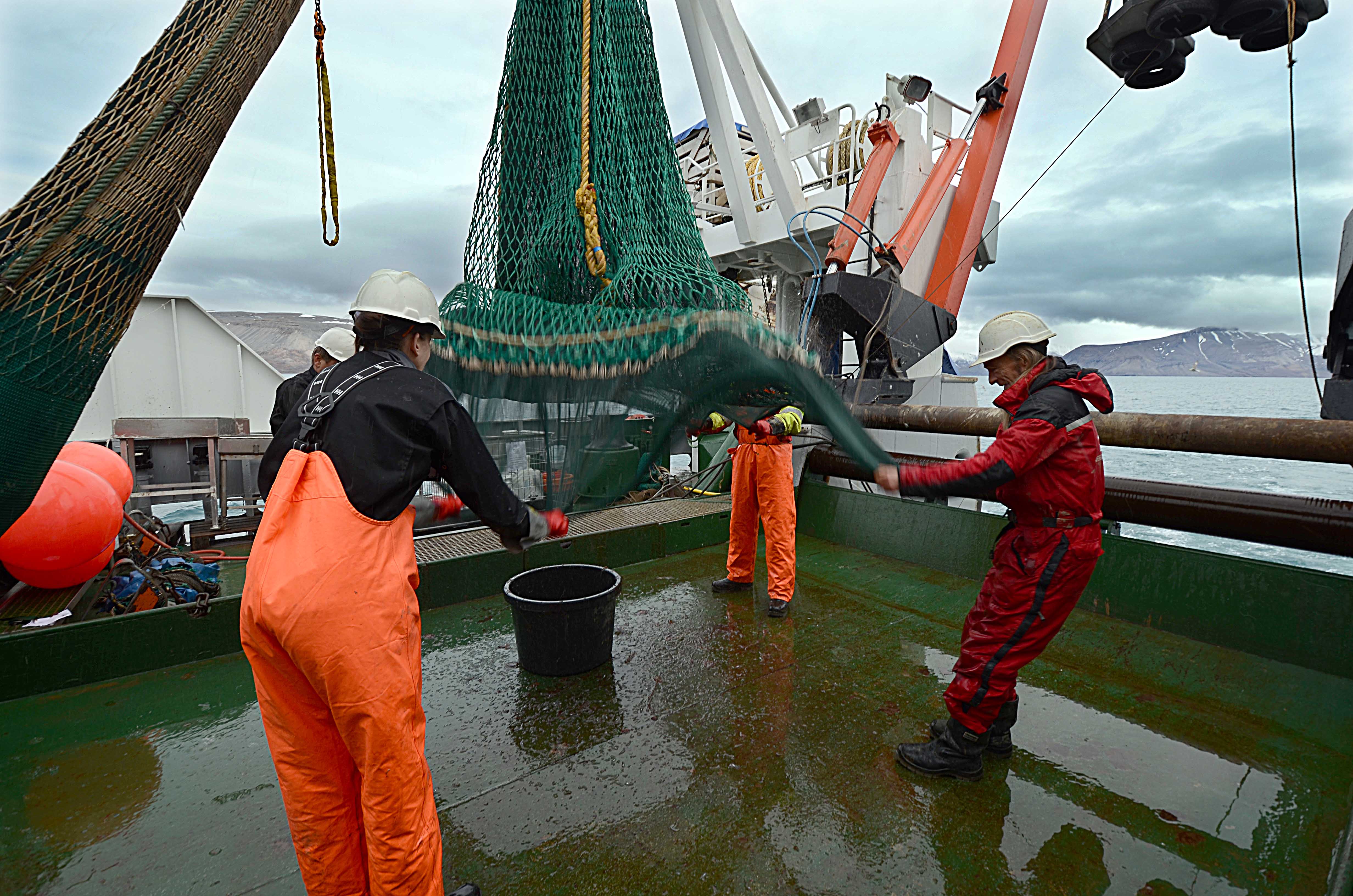 Havforskerne bruker både trål og en rekke andre redskaper for å kartlegge livet i havet, og det gjelder å få med seg rubbel og bit av det som går i trålen. Foto: Gunnar Sætra, Havforskninga.